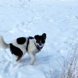 2012_pogo im schnee